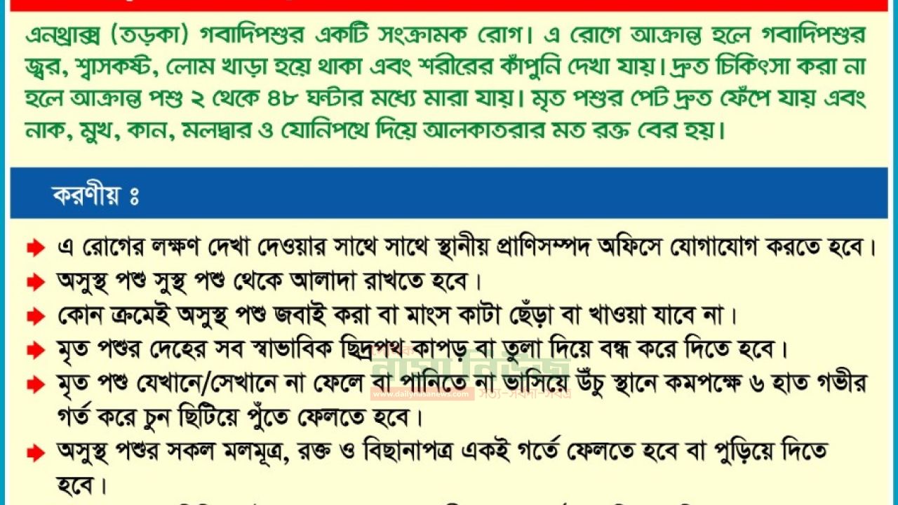 রংপুর সদরের অ্যানথ্রাক্স প্রতিরোধে প্রাণিসম্পদ অধিদপ্তরের কার্যক্রম শুরু
