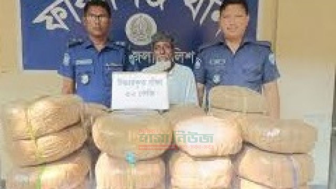 বায়ান্ন কেজি গাঁজা সহ চাঁদপুরের ফরিদগঞ্জ থেকে এক মাদক কারবারি আটক 