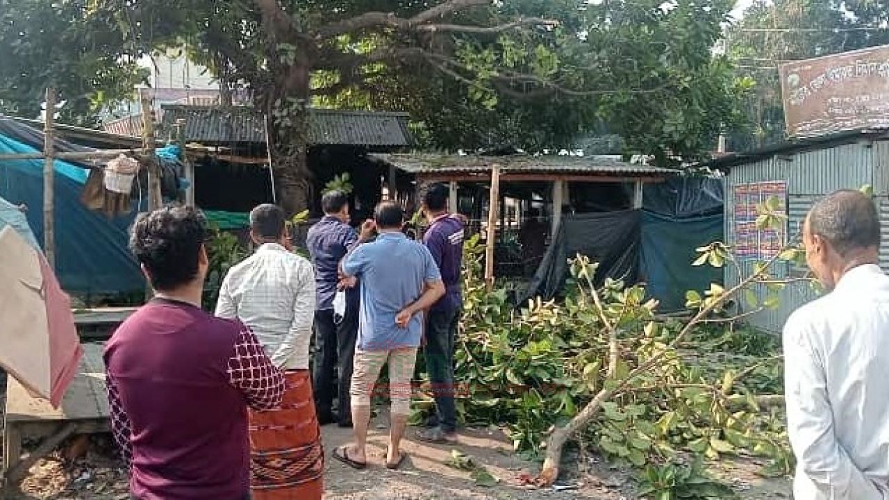 নলডাঙ্গায় সরকারি গাছ কাটার অভিযোগ জামায়াত নেতার বিরুদ্ধে 