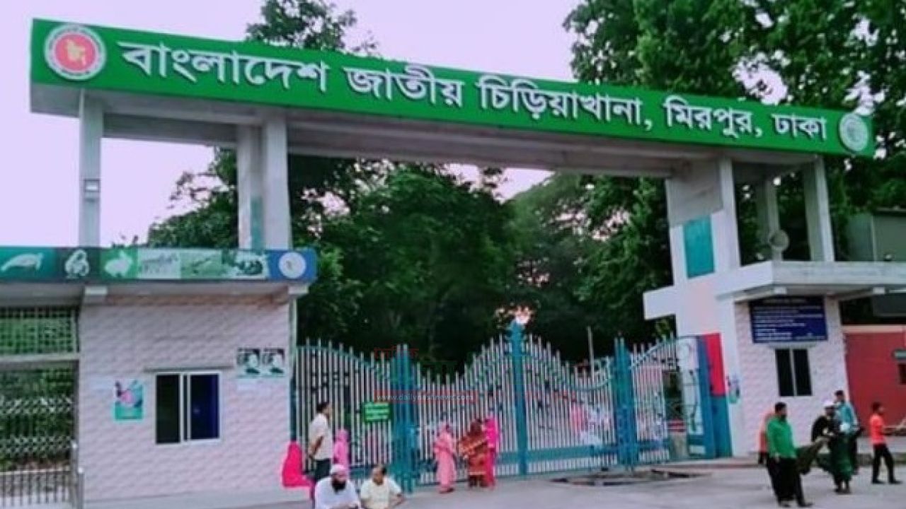 রাজধানীর মিরপুরে জাতীয় চিড়িয়াখানার খাঁচা থেকে সিংহ বাইরে 