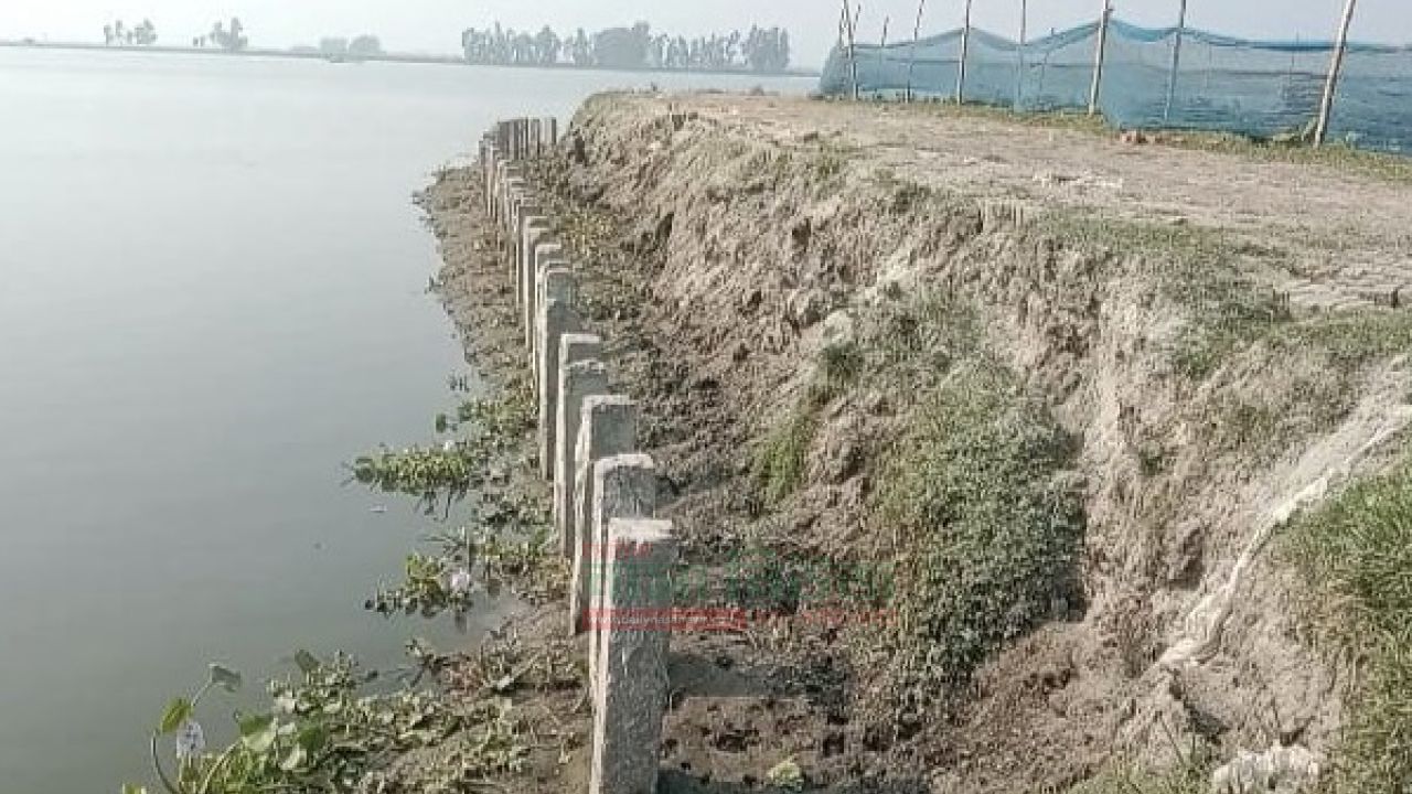 কোটালীপাড়ায় মৎস্য ঘের গিলে খাচ্ছে সড়ক দিশেহারা ঠিকাদার প্রতিষ্ঠান