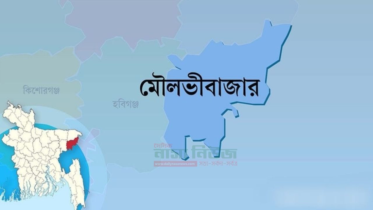 মৌলভীবাজারে ৪টি আসনে ৩১জনের মনোনয়নপত্র দাখিল