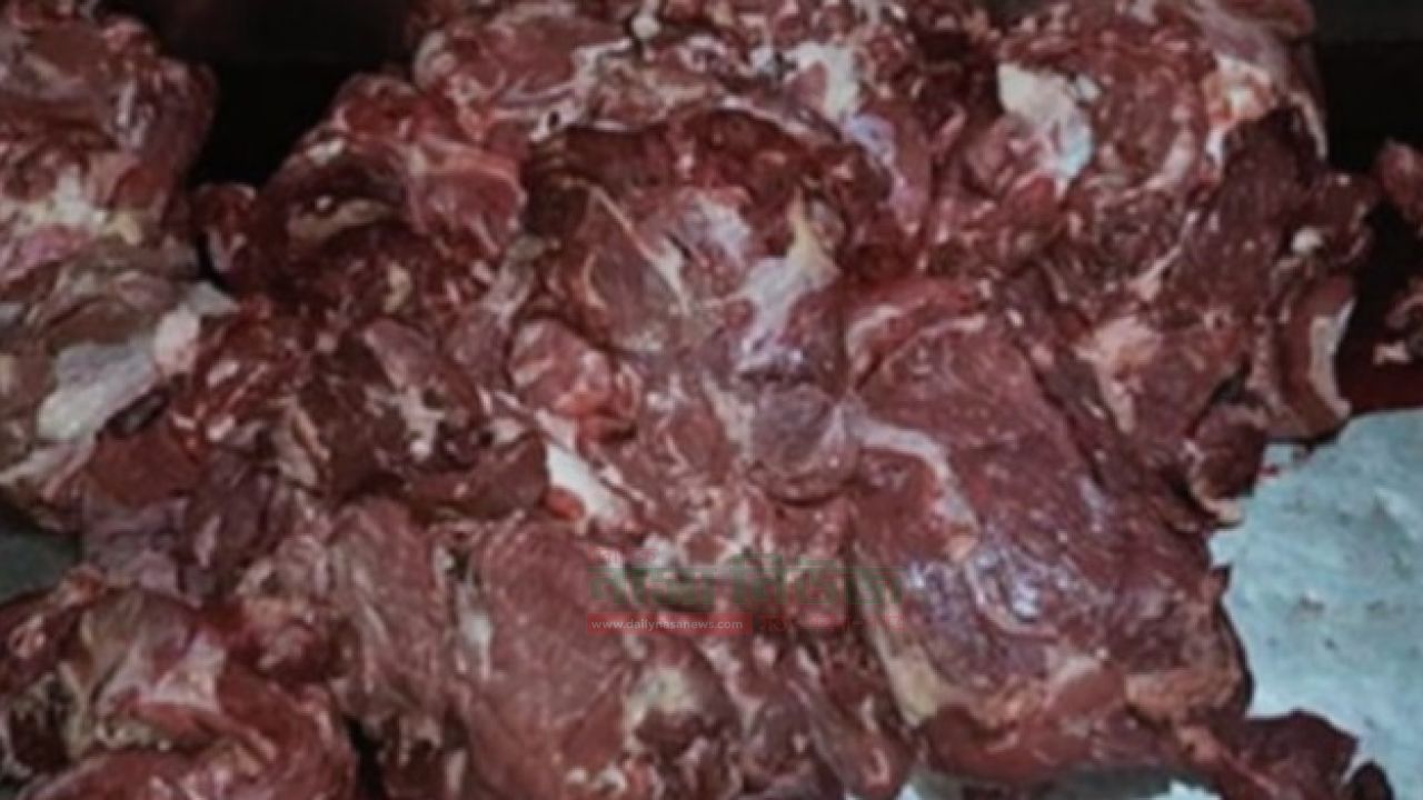 শৈলকুপায় অসুস্থ গরুর মাংস বিক্রির ধুম: নিরব প্রশাসন, স্বাস্থ্যঝুঁকিতে সাধারণ মানুষ