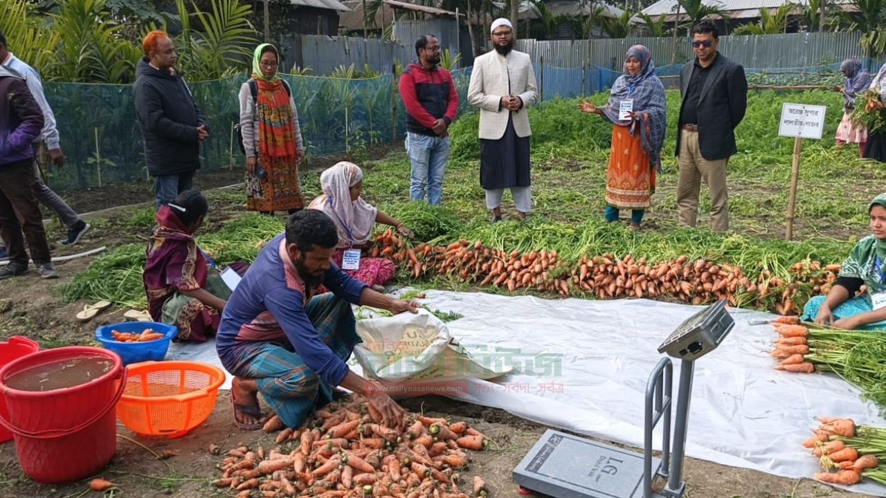 কীটনাশক মুক্ত সবজি চাষে লালমনিরহাটে নারী সমবায়ীদের সফলতা
