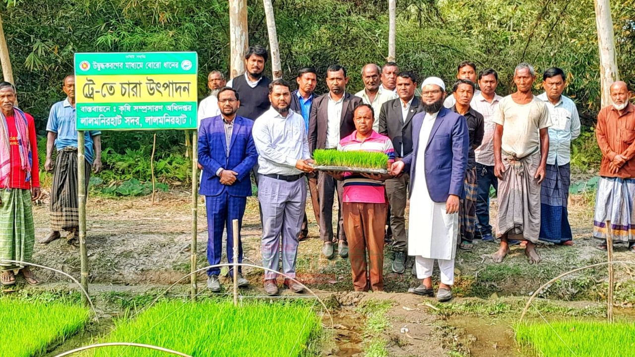  কৃষিতে আধুনিকায়নের ছোঁয়া লেগেছে লালমনিরহাটে