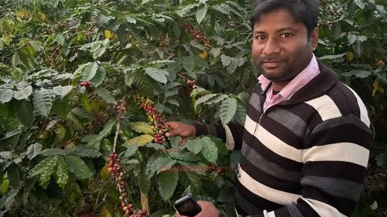 কফি চাষে স্বাবলম্বী মোখলেছুর 