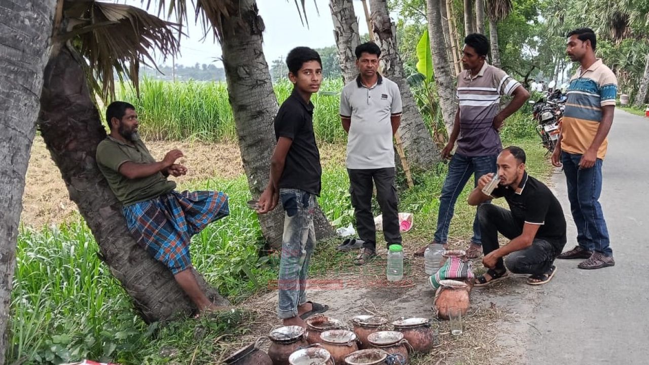 কুষ্টিয়ার মিরপুরে তালের রসে গরমের স্বস্তি,বাড়ছে চাহিদা ও বিক্রি