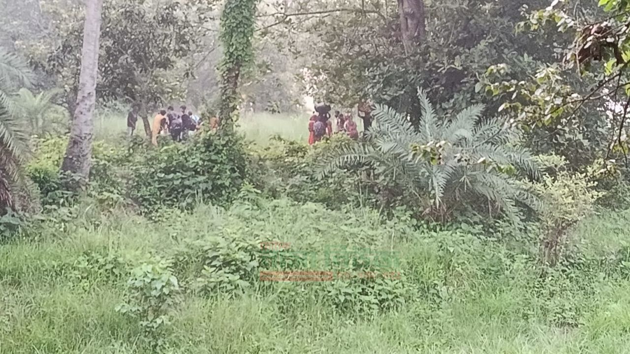 চাঁপাইনবাবগঞ্জ সীমান্তে ২৮ বাংলাদেশিকে 