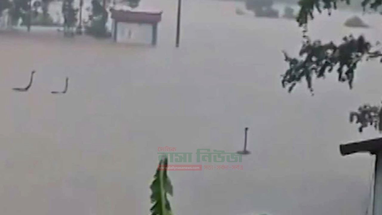 বন্যায় খামার থেকে পালাল ৯০০ সাপ,লোকালয়ে আতঙ্ক