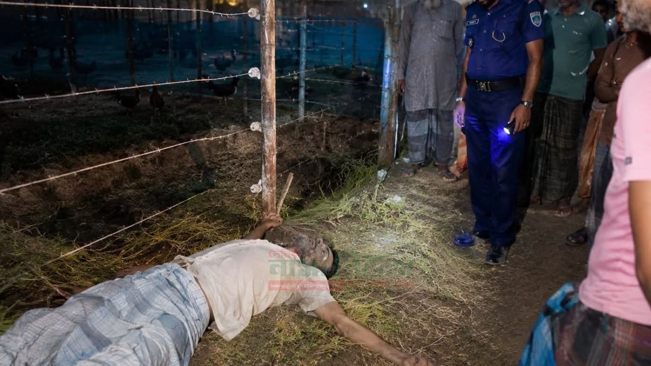 লালপুরে মুরগির খামারের বৈদ্যুতিক ফাঁদে প্রাণ গেল বৃদ্ধের